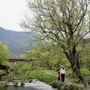 黄山旅游 缩略图 15