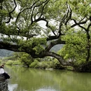 黄山旅游 缩略图 10