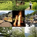 黄山旅游 缩略图 1