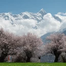 林芝旅游 缩略图 3