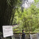 成都旅游 缩略图 3