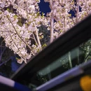 无锡旅游 缩略图 2