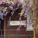 长沙旅游 缩略图 5