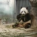 苏州旅游 缩略图 11