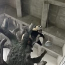 苏州旅游 缩略图 8