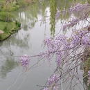 扬州旅游 缩略图 8