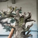 苏州旅游 缩略图 6