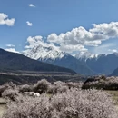 林芝旅游 缩略图 5