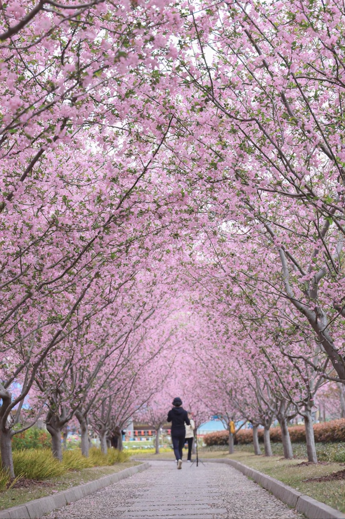 上海旅游