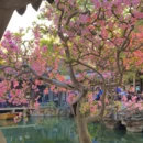 苏州旅游 缩略图 2