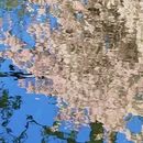 成都旅游 缩略图 4