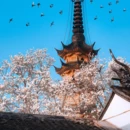 苏州旅游 缩略图 4