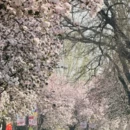 天津旅游 缩略图 5