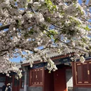 北京旅游 缩略图 1