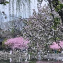 南京旅游 缩略图 5
