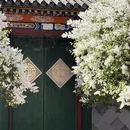 北京旅游 缩略图 6