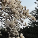 大连旅游 缩略图 6