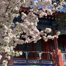 北京旅游 缩略图 7