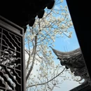 苏州旅游 缩略图 11
