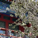 北京旅游 缩略图 8