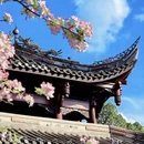 成都旅游 缩略图 11
