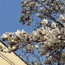 大连旅游 缩略图 8