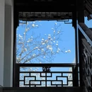 苏州旅游 缩略图 13