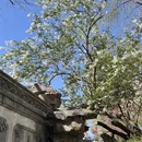 北京旅游 缩略图 9