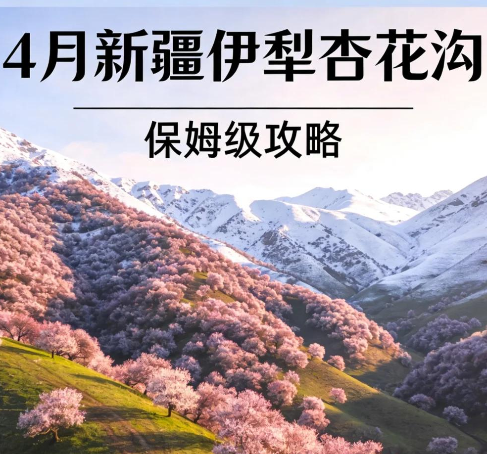 伊犁旅游