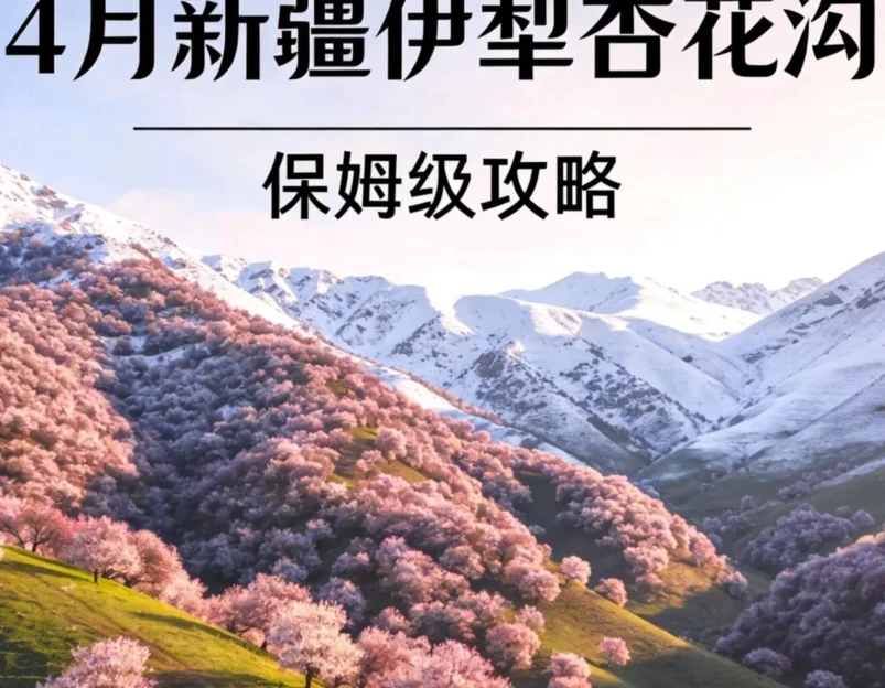 伊犁旅游 1