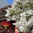 北京旅游 缩略图 11