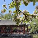 北京旅游 缩略图 12