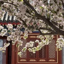 北京旅游 缩略图 2