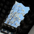 苏州旅游 缩略图 5