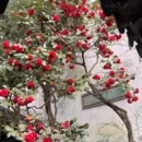 苏州旅游 缩略图 9