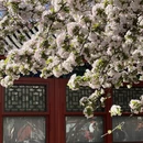 北京旅游 缩略图 3