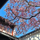 苏州旅游 缩略图 9