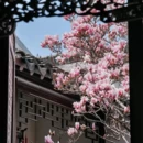 苏州旅游 缩略图 15