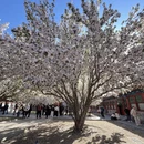 北京旅游 缩略图 4