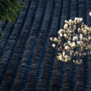 扬州旅游 缩略图 12