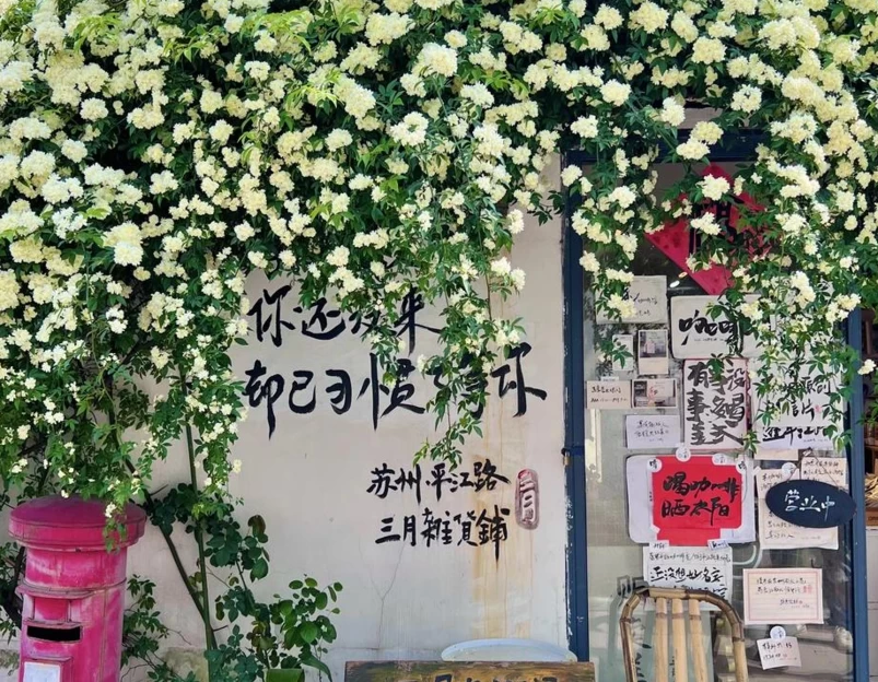 苏州旅游 1