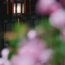 苏州旅游 缩略图 14