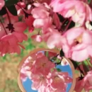 北京旅游 缩略图 6