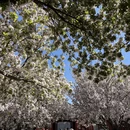 北京旅游 缩略图 13