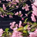苏州旅游 缩略图 17