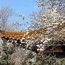 大连旅游 缩略图 13
