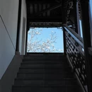 苏州旅游 缩略图 17