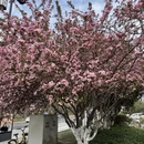 苏州旅游 缩略图 1