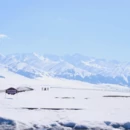 伊犁旅游 缩略图 18