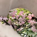 苏州旅游 缩略图 14